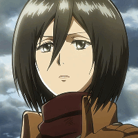 Фото Mikasa 1