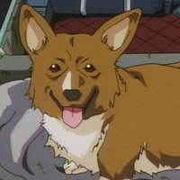 Ein -