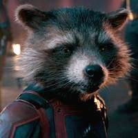 Rocket Raccoon - Guardians of the Galaxy's picture