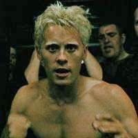 Фото Angel Face - Fight Club