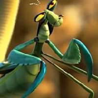 Master Mantis - Kung Fu Panda's picture