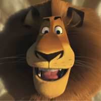 Фото Alex the Lion Madagascar